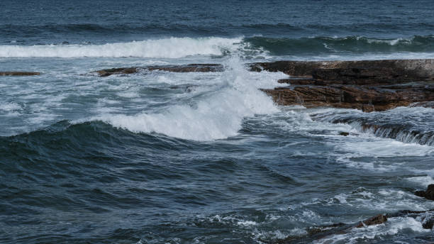 istock Shapes of the Sea 1487517655
