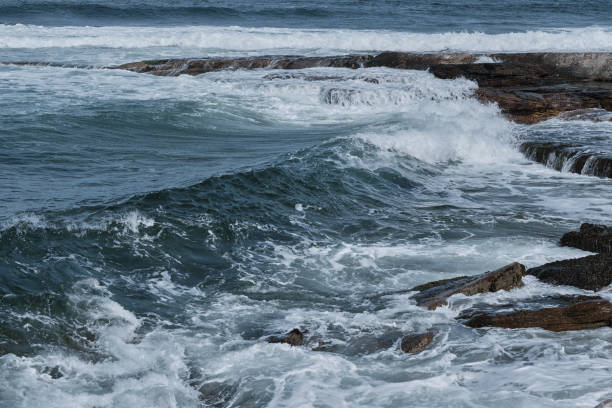 istock Shapes of the Sea 1487517714