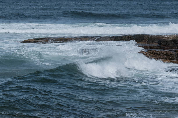 istock Shapes of the Sea 1487517743
