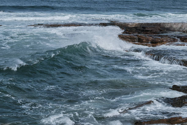 istock Shapes of the Sea 1487517812