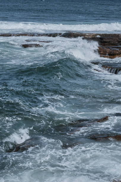 istock Shapes of the Sea 1487517838