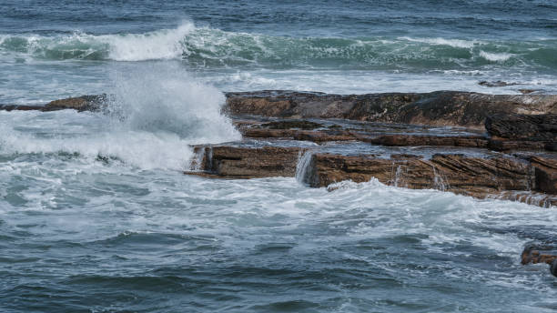 istock Shapes of the Sea 1487517856