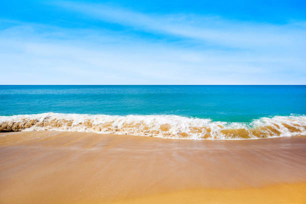 Beautiful landscape of the Indian Ocean coast stock photo