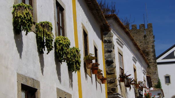 istock Obidos Houses and Castle 1487519903