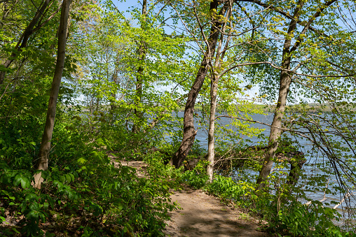 Hiking trail along the Illinois River on a beautiful Spring morning.  Starved Rock State Park, Illinois, USA.