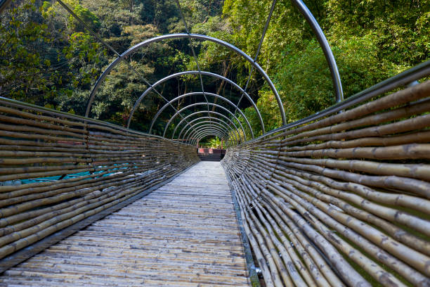 istock Bamboo bridge design over the river in the park 1487521170