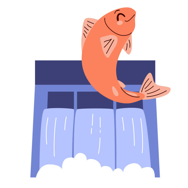 Water Dam Jumping Happy Salmon vector art illustration