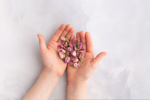 Dry roses in hands for beauty skin. High quality photo