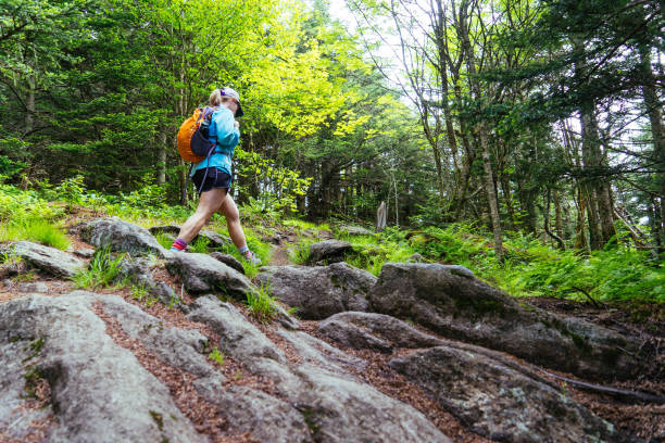 istock woman hiking 1487525953