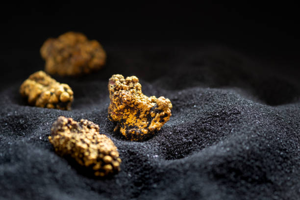 el oro puro de la mina que fue desenterrada se colocó sobre la arena negra. - panning fotografías e imágenes de stock