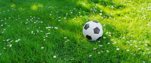 футбольный мяч лежит на зеленой траве - youth league стоковые фото и изображения
