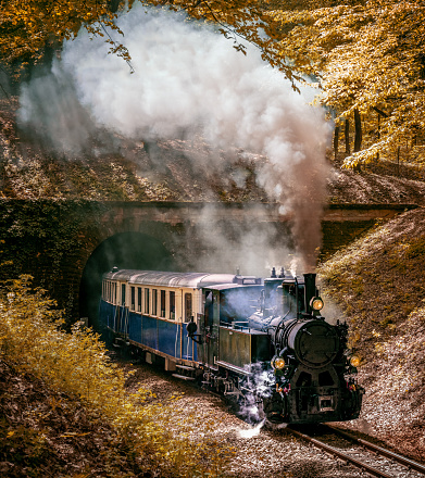 Narrow Gauge Steam Train Appears from a Tunnel, Budapest, Hungary.