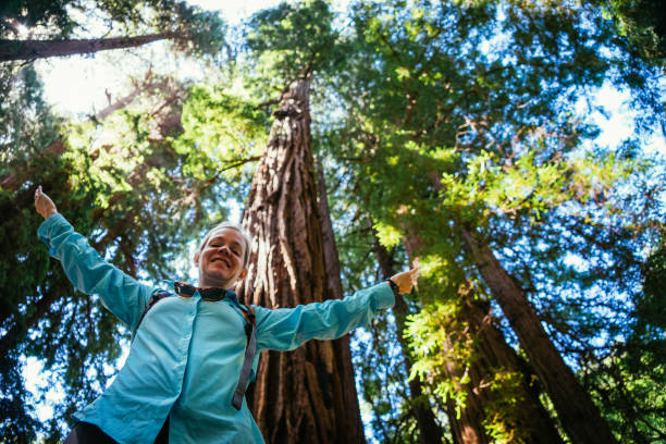 woman in redwood trees at muir woods