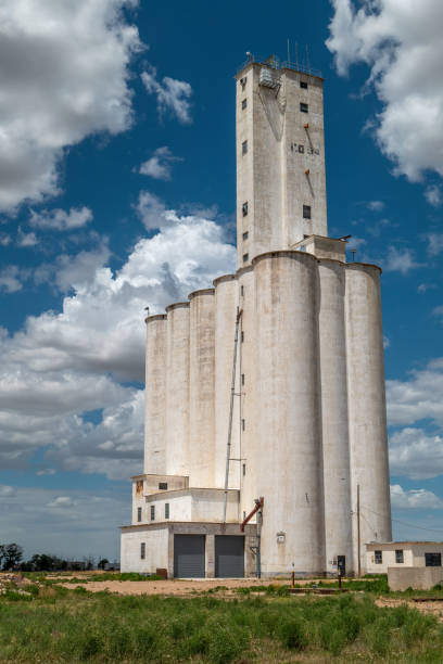 istock Stately Grain Towers in the American Prairie 1487535720