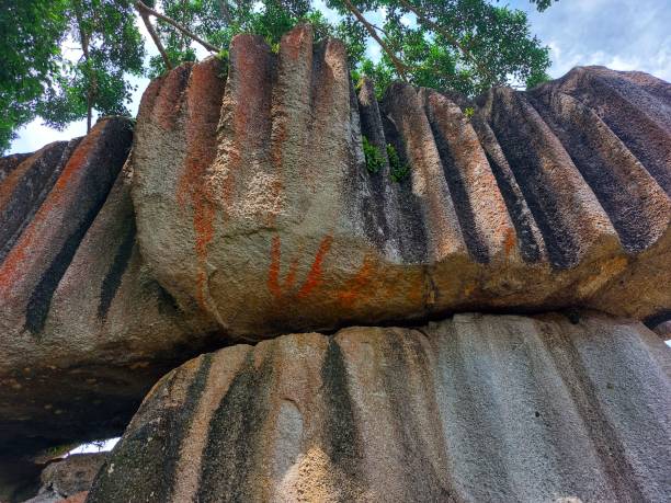 istock beach rock with beautiful arches similar to starfruit 1487536049