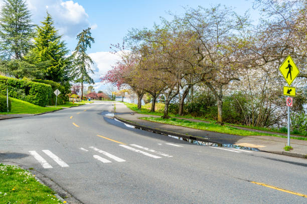 istock Lake Washington Boulevard Flowers 10 1487536375