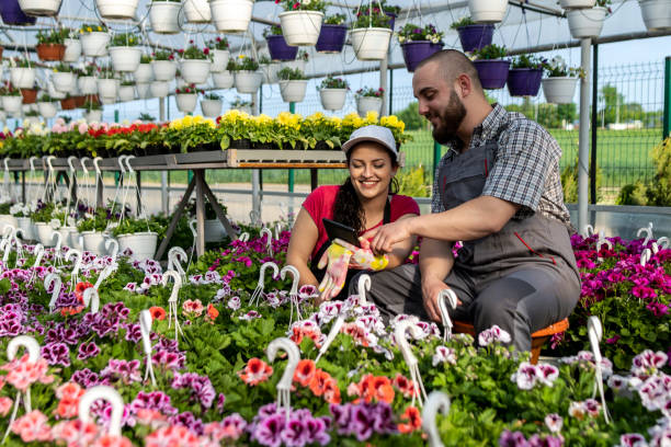 istock Greenhouse manual workers holding crate with flowers 1487542407