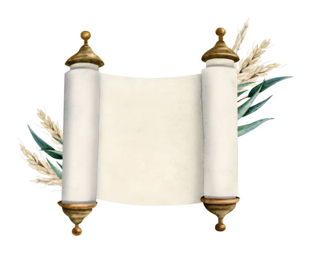 Watercolor opened Torah scroll of Jewish Bible, megilat Esther, Haggadah Pesah illustration with ears of wheat and eucalyptus leaves. Hand drawn clipart isolated on white background Watercolor opened Torah scroll of Jewish Bible, megilat Esther, Haggadah Pesah illustration with ears of wheat and eucalyptus leaves. Hand drawn clipart isolated on white background. esther bible stock illustrations