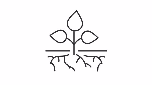 Animated plant root system line icon