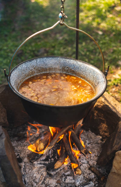 istock Delicious meal (goulash) made on traditional way in fish pot on camp fire 1487545595