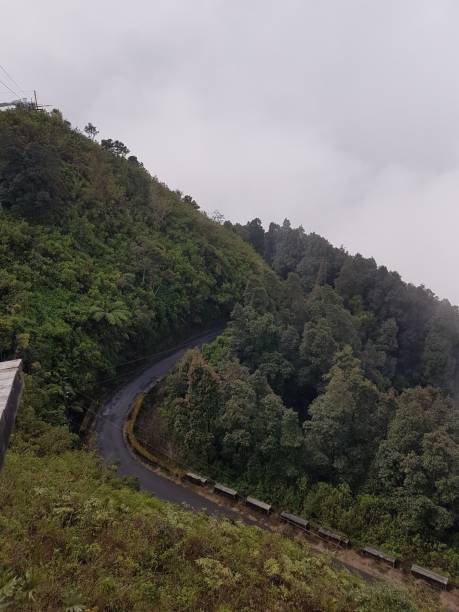 istock Elevated view of the highway 1487555283