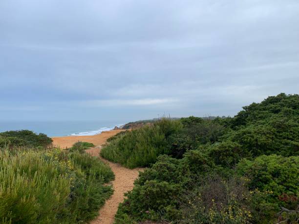istock Clifftops Near Conil at Cabo Roche 1487555393