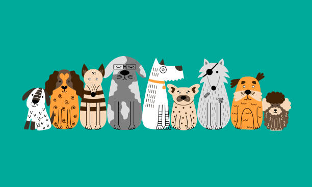 ilustraciones, imágenes clip art, dibujos animados e iconos de stock de un grupo de perros se sientan mirando hacia adelante. - group of dogs