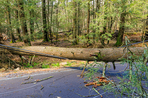 Shaken and stirred: surviving natural disasters, storm aftermath in Poconos mountains region