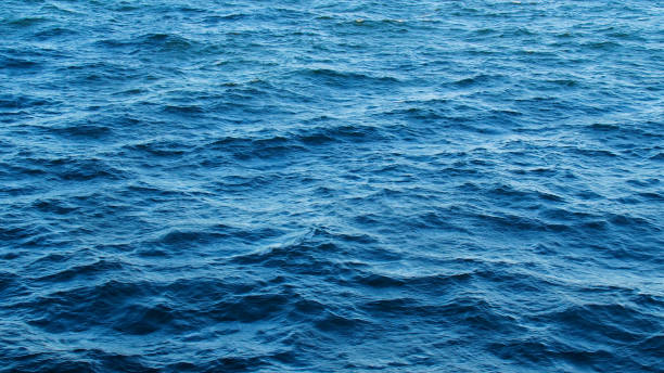 istock Blue surface of the sea 1487558794