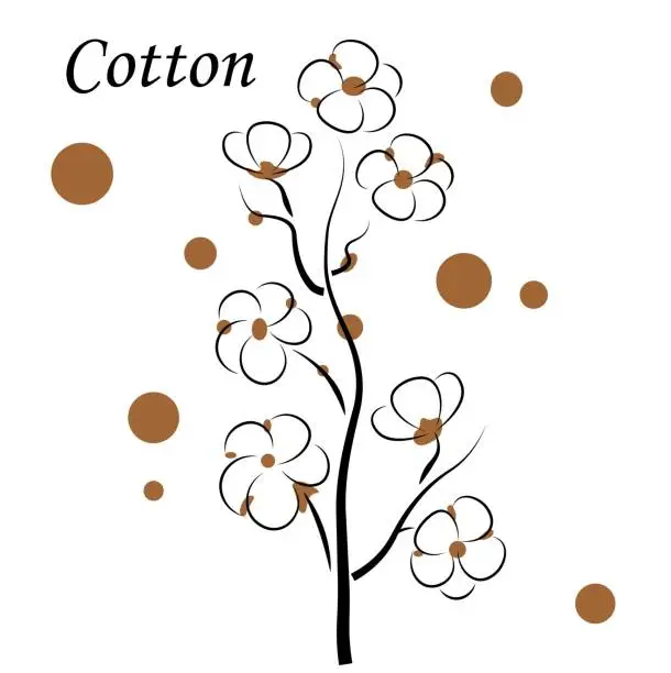 Vector illustration of cotton
