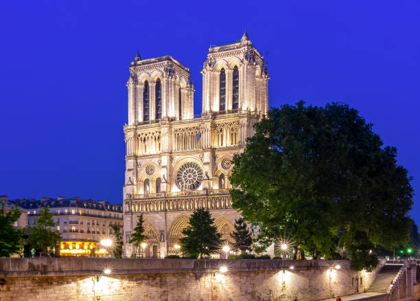 katedra notre-dame de paris na wyspie cite nocą, francja - paris france notre dame night ile de la cite zdjęcia i obrazy z banku zdjęć