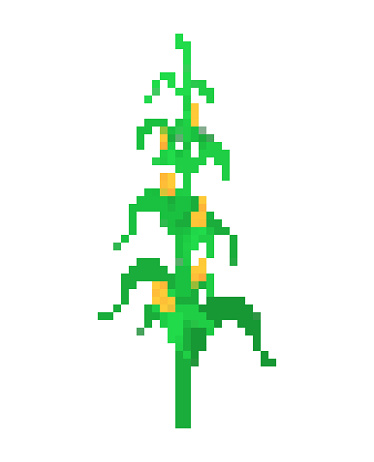 Corn bush pixel art. 8 bit Vector illustration