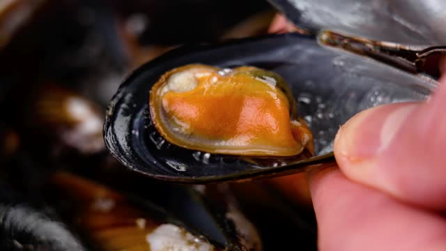 Cooked appetizing sea mussel in hand. Seafood