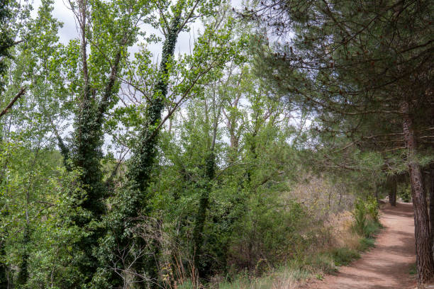 istock Anento village in Zaragoza province Spain 1487576369