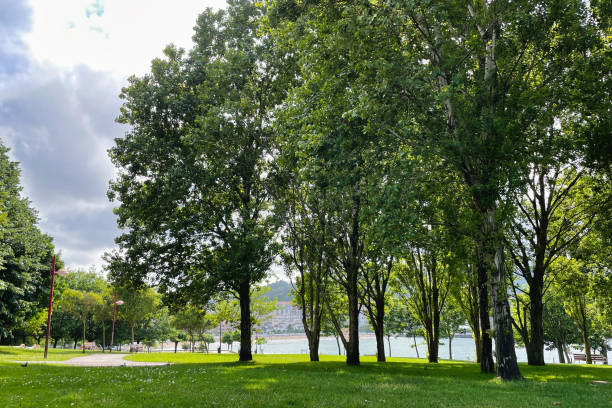 istock Beautiful green park on the coast 1487579091