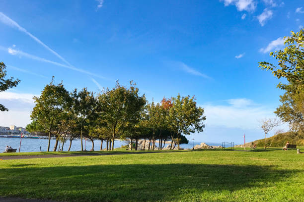 istock Beautiful green park on the coast 1487579148