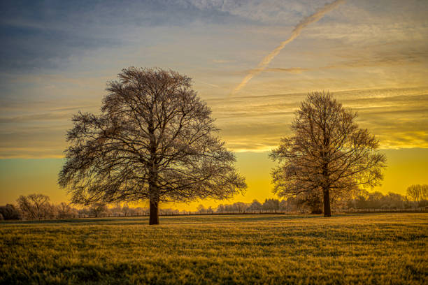 istock Winter landscape in England. 1487580108