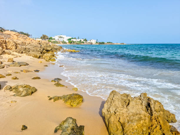 istock Landscape in a beach in Hammamet, Tunisia 1487581939