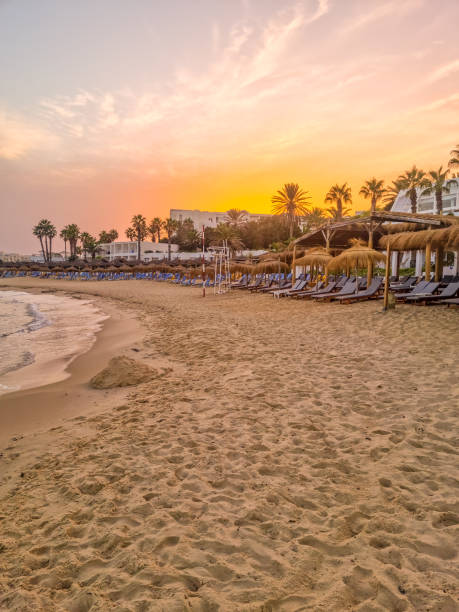 istock Landscape in a beach in Hammamet, Tunisia 1487581944
