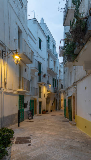 istock Monopoli - The old town aisle with the  at dusk. 1487582001