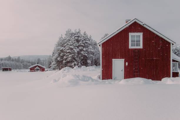 istock Beautiful winter scene featuring a rustic red shed covered in snow 1487584834