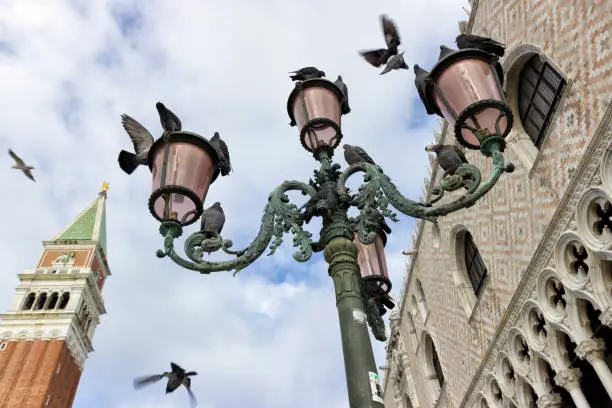 Photo of Venice, view of a street lamp with flying pigeons in St. Mark square