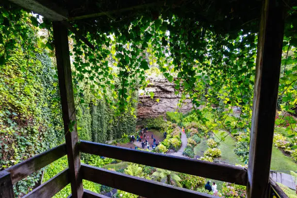 Photo of Umpherston Cave Sinkhole in Mt Gambier Australia