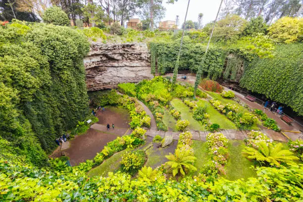 Photo of Umpherston Cave Sinkhole in Mt Gambier Australia