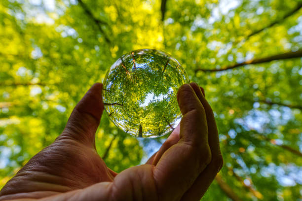 istock Environment Concept - Crystal Earth On moss In Forest With Ferns And Sunlight - Environment, save clean planet, ecology concept. 1487590043