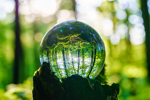 Close up of crystal ball on bright green meadow and spring flowers, low angle view.