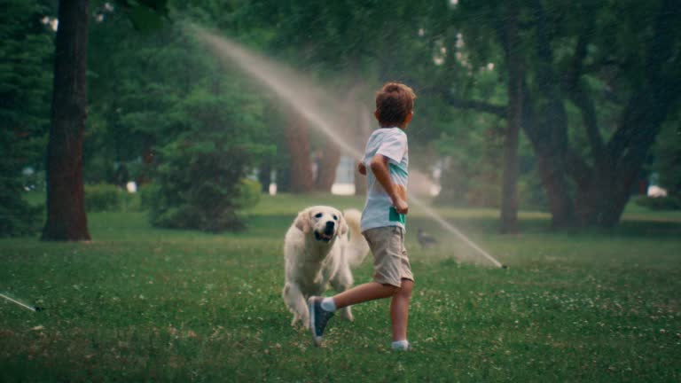 Little boy running cute dog. Cheerful golden retriever on sunny day in park