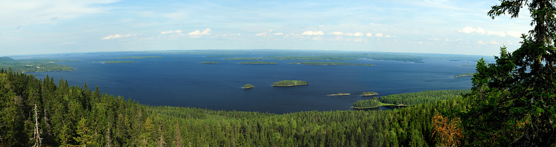 Panorama View From Koli Mountains To Lake Pielinen Finland On A Beautiful Sunny Summer Day With A Clear Blue Sky