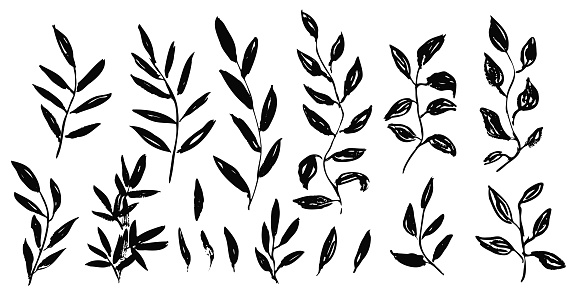 Set of cute hand drawn black vector textured ink leaves and branches. Unique herbs for botanical background design, textile patterns, frames, greeting cards