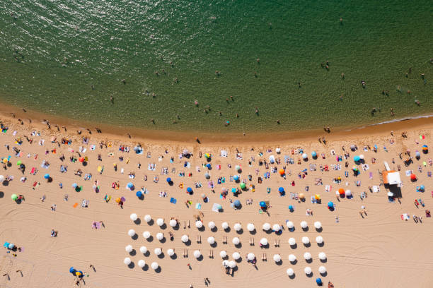 istock Aerial view of beach at summer day 1487594186